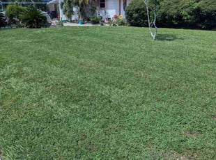Joshua G.'s Lawn Service service result