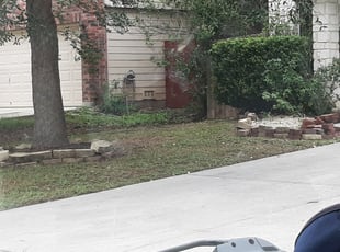 Cheryl H.'s Bush Trimming service result