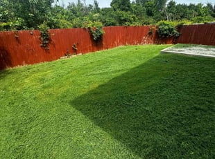 Melissa D.'s Lawn Maintenance service result