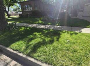 Karen H.'s Lawn Service service result