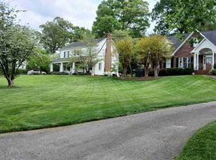 Denise H.'s Lawn Maintenance service result