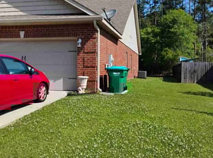 Franzella M.'s Lawn Service service result