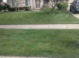 Mateen Z.'s Lawn Service service result