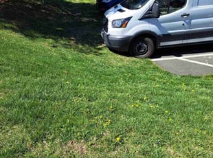 Bush Trimming by Gualberto Mazariegos for Cailey L. in Fairfax, VA