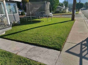 Phyllis M.'s Grass Cutting service result