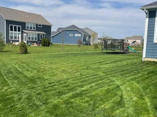 Pamela T.'s Lawn Care service result
