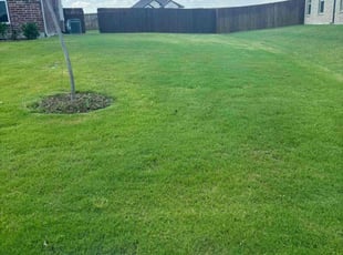 Claven W.'s Lawn Care service result