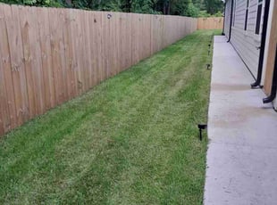 Mohammed Q.'s Grass Cutting service result