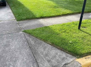 Michael W.'s Lawn Maintenance service result