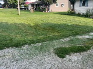 Larry C.'s Grass Cutting service result