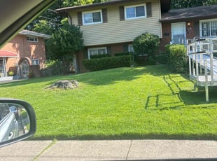Jason F.'s Bush Trimming service result