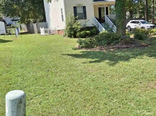 Vanessa L.'s Lawn Mowing service result