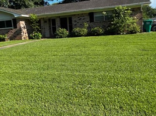 Dawn A.'s Lawn Service service result