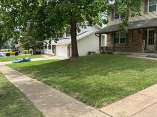 Cleanups by Will Newton for Sandra T. in Fenton, MO