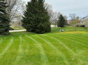 Aaron C.'s Lawn Mowing Service service result