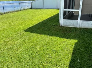 Khalida A.'s Lawn Care service result