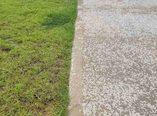 Robert G.'s Grass Cutting service result