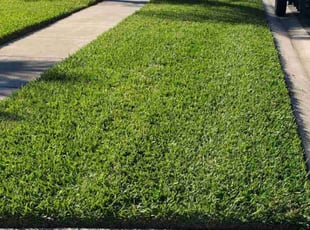Walt B.'s Grass Cutting service result
