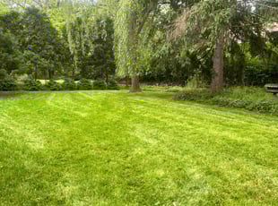 Anthony F.'s Lawn Service service result
