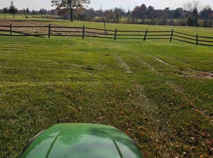 patrick p.'s Lawn Service service result