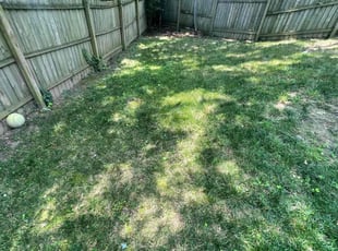 Leaf Removal by Nelly Arredondo for Mark A. in Temple Hills, MD