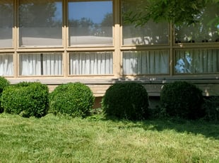 Bush Trimming by Alexander Elsen for Chase J. in Wyoming, OH