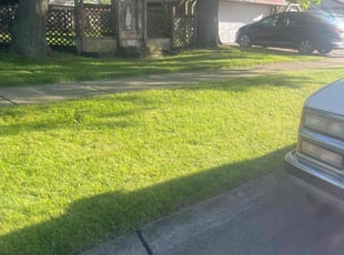 Eric J.'s Lawn Service service result