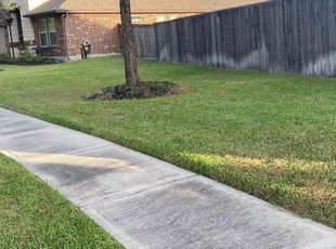 Natalie J.'s Lawn Maintenance service result