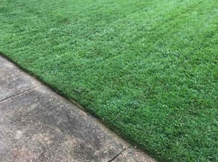 Leland D.'s Lawn Care service result