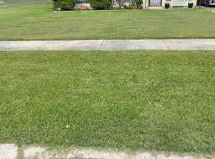Adam K.'s Lawn Mowing service result