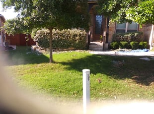 Bush Trimming by Jason Westgor for Wes K. in Boerne, TX