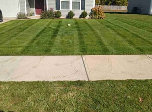 John M.'s Lawn Care service result