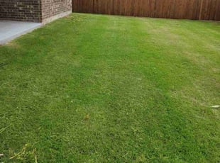 Brittnie M.'s Lawn Mowing service result