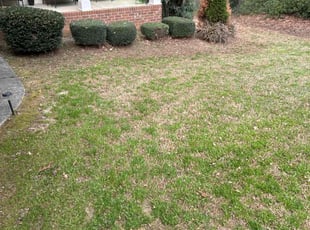 Bush Trimming by Billy Bryant for melissa C. in Clayton, NC