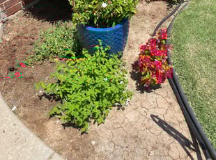 Weeding by Jason Parker for JENNIFER S. in Oklahoma City, OK