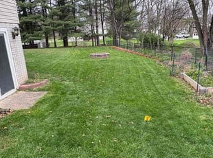 Robin K.'s Lawn Service service result