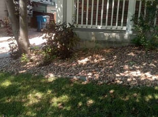 Bush Trimming by Laray Silz for Vincent S. in Commerce City, CO