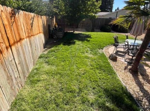 George C.'s Lawn Mowing service result