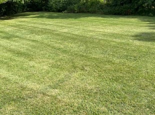 Deborah C.'s Lawn Mowing service result
