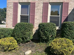 Bush Trimming by Keith Vickers for Jacki B. in Cincinnati, OH