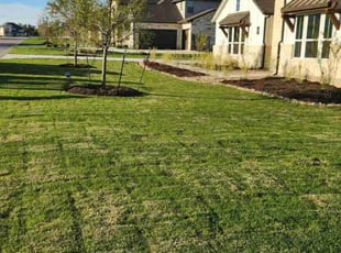 Adriana O.'s Lawn Mowing Service service result