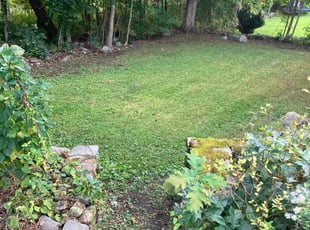 Tamara W.'s Lawn Mowing Service service result