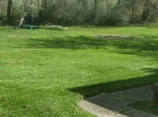 Ronald J.'s Grass Cutting service result