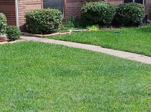 Aaron C.'s Lawn Service service result