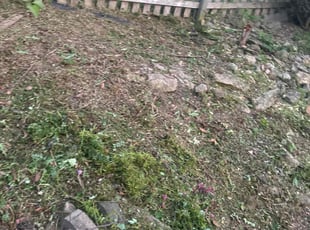 Weeding by Shawn Byers for Elliott B. in Blue Springs, MO
