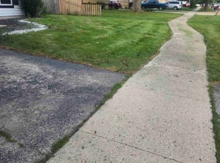 Philip M.'s Lawn Maintenance service result