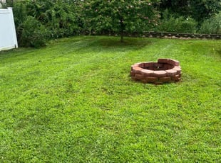 Nikki L.'s Lawn Maintenance service result