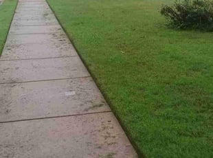 Luz M.'s Lawn Service service result