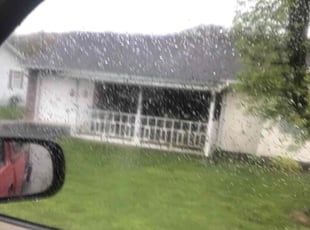 Terri S.'s Lawn Mowing service result