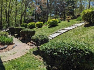 Bush Trimming by Dameatric Taylor for Becky H. in Asheville, NC